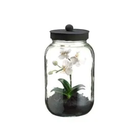 11.25" Artificial Mini White & Pink Phalaenopsis Orchid Silk Flower in Glass Terrarium Jar with Lid
