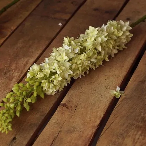 44" Light Green Artificial Foxtail Decorative Floral Crafting Stem