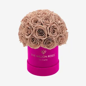 Basic Hot Pink Suede Superdome Box | Sand Roses