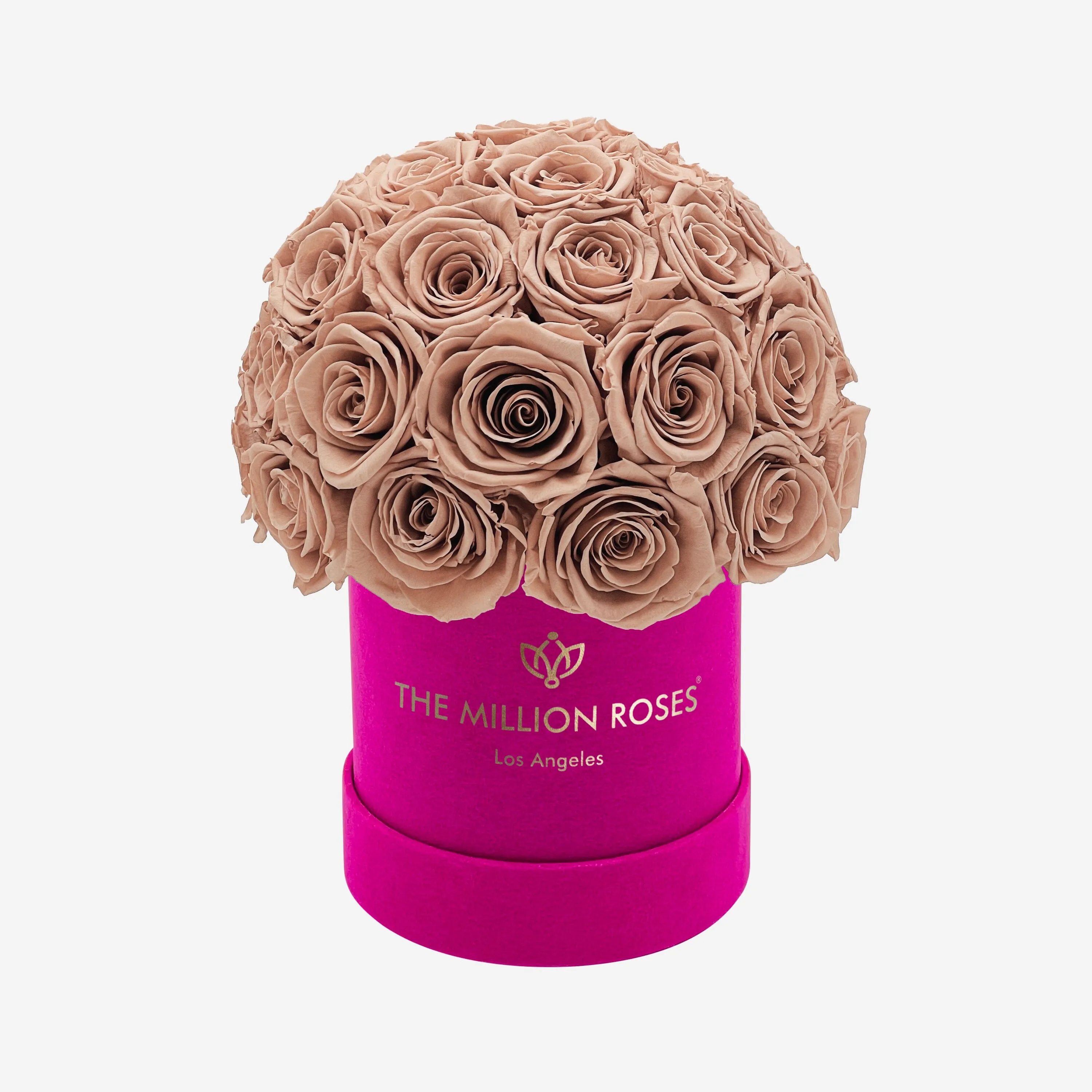 Basic Hot Pink Suede Superdome Box | Sand Roses