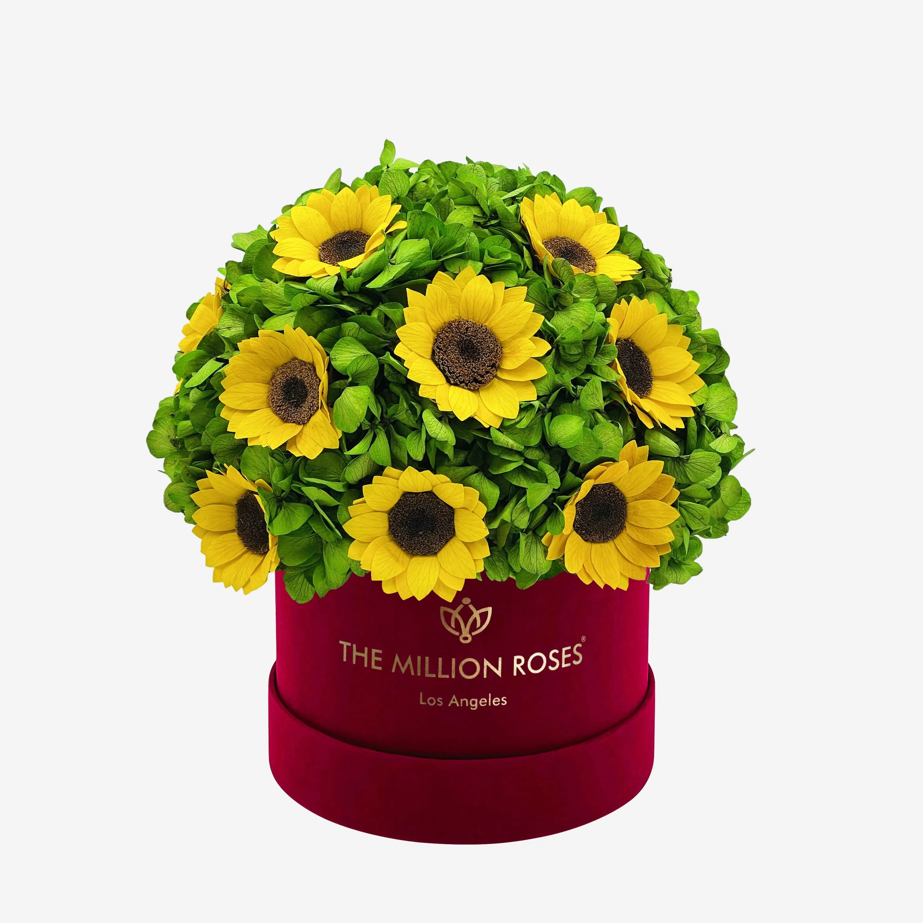 Classic Bordeaux Suede Box | Green Hydrangeas & Sunflowers