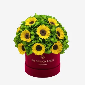 Classic Bordeaux Suede Box | Green Hydrangeas & Sunflowers