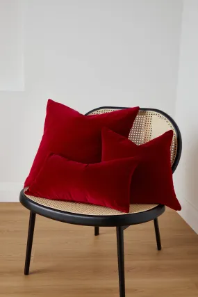 Foxford Berry Velvet Cushion Oblong