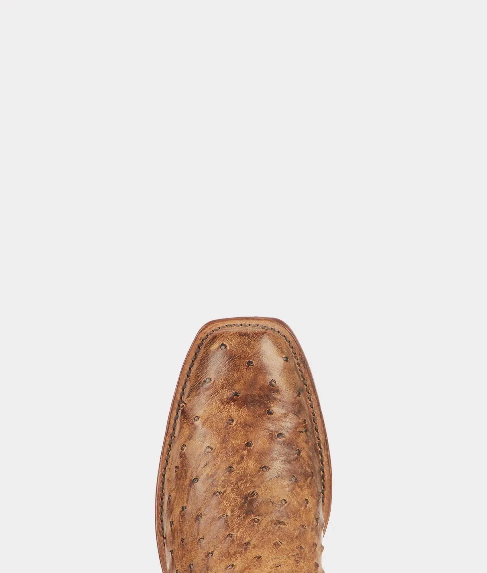 Nopales :: Mink
